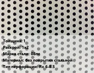 Лист перфорированный 1 1х2 Марка: 08пс без покрытия стальной Rv 6-8.5